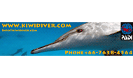 Kiwidiver.com logo