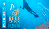 Reef Check Foundation Indonesia logo
