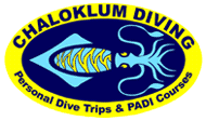 Chaloklum Diving logo