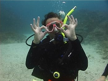 SCUBA diving is fun underwater. Go Diving!