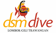 DSM Lombok logo