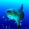 Bali Diving Academy