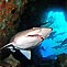 South West Rocks Dive Centre