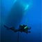 Pro Dive Sydney City