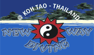 New Way Diving logo