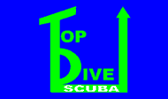 Top Dive logo