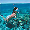 Deep Sea Divers Den