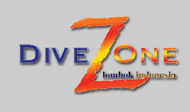 DiveZone Lombok logo