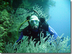 A diver looking at the dense coral growing every where. Uepi, Solomon Islands