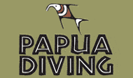 Papua Diving logo