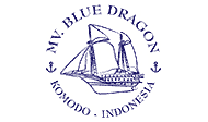 MV Blue Dragon logo