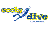 Cooly Dive logo