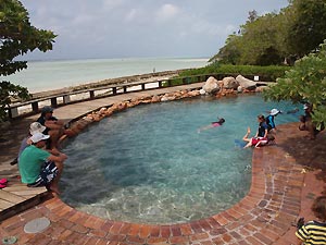 Swimming Pool at Heron Island Resort, Australia