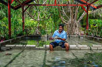 The primary caretaker for the turtle nursery is Sayafrin (above holding a baby green turtle). Sayafrin started out as a Wakatobi dive assistant 7 years ago and is now one of the resort&rsquo;s supply managers.   Photo by Didi Lotze