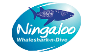 Ningaloo Whaleshark n Dive logo