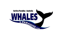 Whales in Paradise - Gold Coast Whale Watching Pty Ltd logo