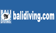 Bali Diving Safaris logo