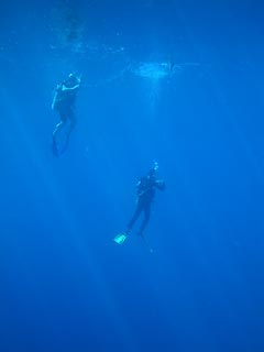 'The Ascent'