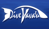 Dive Vava'u logo