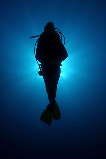 Angel - diver silhouette