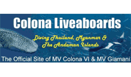 Colona Group logo