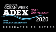 ADEX 2020 | Singapore 29 - 31 April 2020 logo