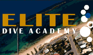 Elite Dive Academy logo