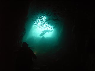 Fish Rock Cave Entrance