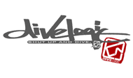 DIVELOGIC logo