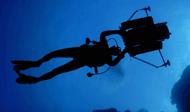 Far North Queensland Dive Expedition logo