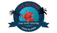 The Dive Centre - The Big Fish logo