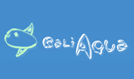 Bali Aqua Diving logo