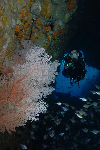 Fish Rock Cave