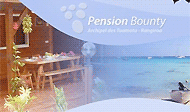Pension Bounty logo