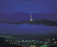View of the Telstra Tower on Black Mountain - Photo courtesy of Tourism NSW