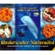 Underwater Naturalist - Asia Pacific Marine Life Identification