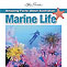 Amazing Facts about Australian Marine Life