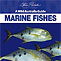 Wild Australia Guide - Marine Fishes