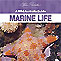Wild Australia Guide - Marine Life