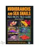 Nudibranchs and Sea snails