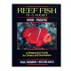 Reef Fish in-a-pocket - Tropical Pacific