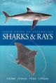 Field Guide to Australian Sharks and Rays