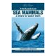 Wild Australia Guide - Sea Mammals & where to watch them