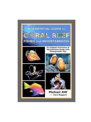 An Essential Guide to Coral Reef Fishes and Invertebrates