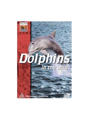 Dolphins In The Wild