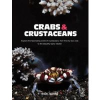 Crabs and Crustaceans