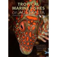 Tropical Marine Fishes of Australia