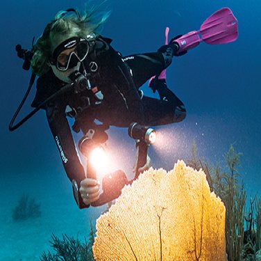 Hooray - Underwater Australasia is 20 years