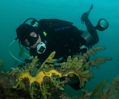 Louise Nott has always had passion for underwaterphotography.