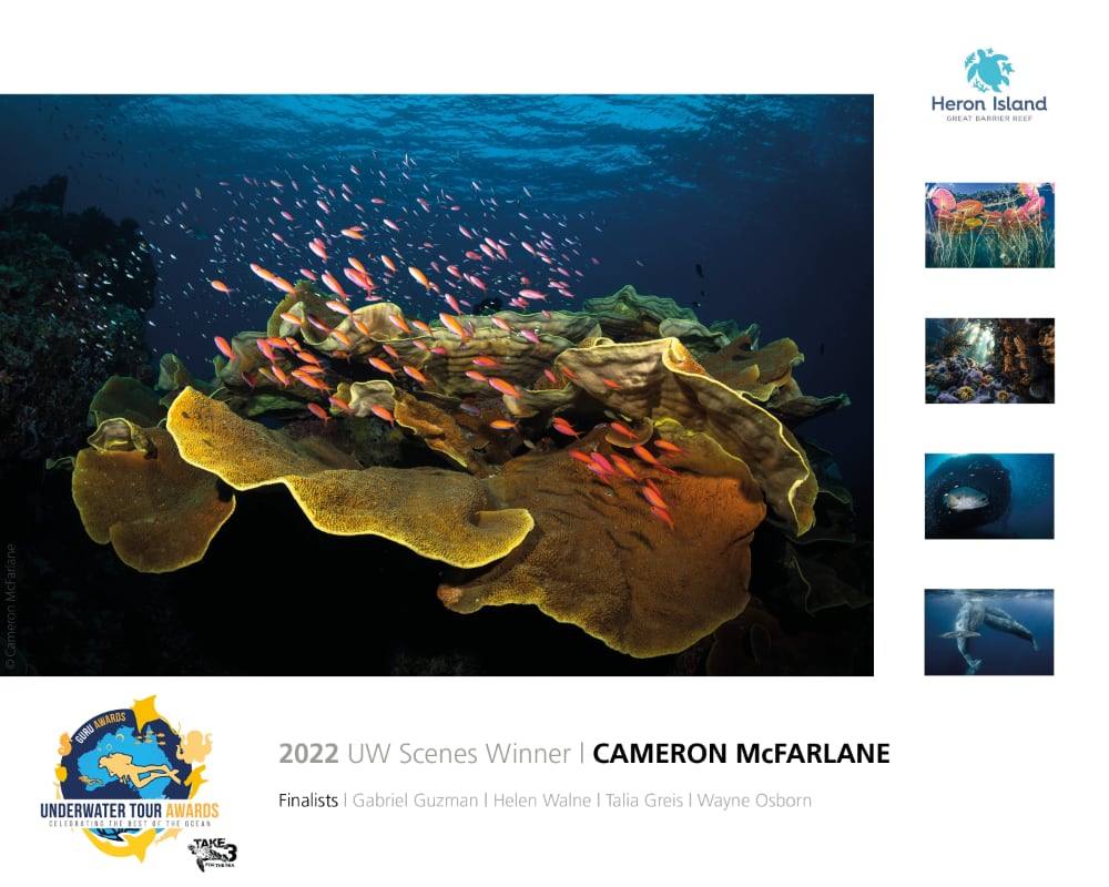 Underwater Scenes Winner: Cameron McFarlane